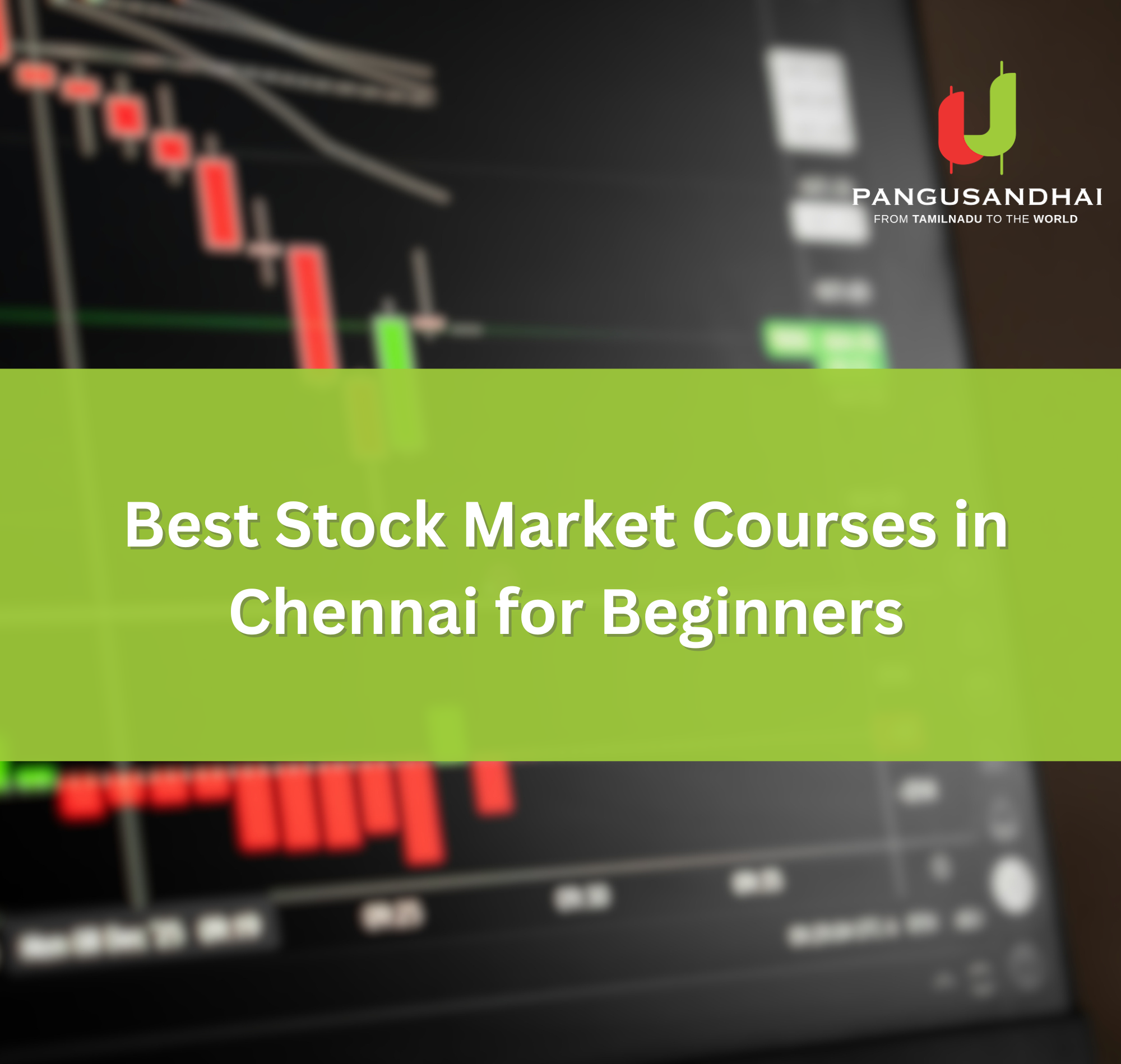 Best Stock Market Courses in Chennai for Beginners